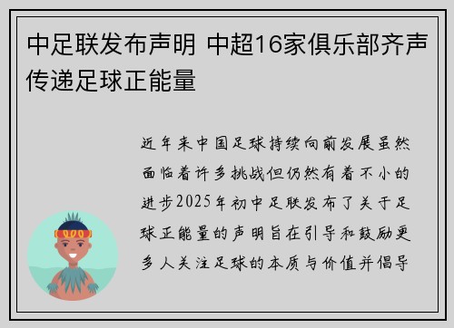 中足联发布声明 中超16家俱乐部齐声传递足球正能量