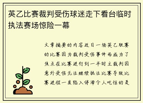 英乙比赛裁判受伤球迷走下看台临时执法赛场惊险一幕